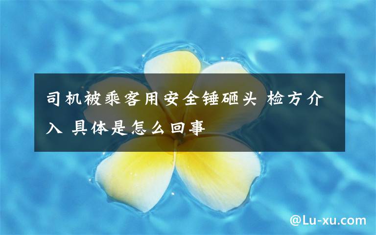 司机被乘客用安全锤砸头 检方介入 具体是怎么回事