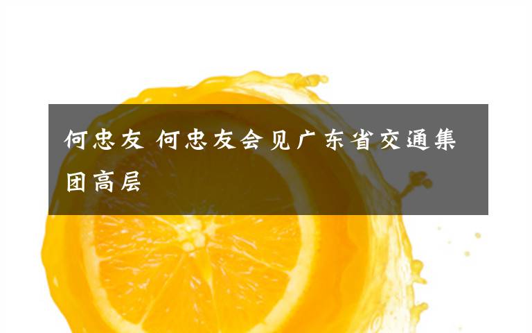 何忠友 何忠友会见广东省交通集团高层