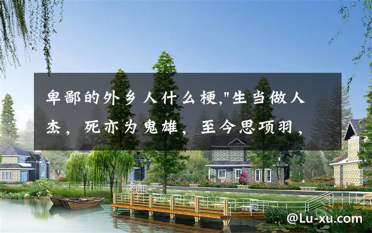 卑鄙的外乡人什么梗,