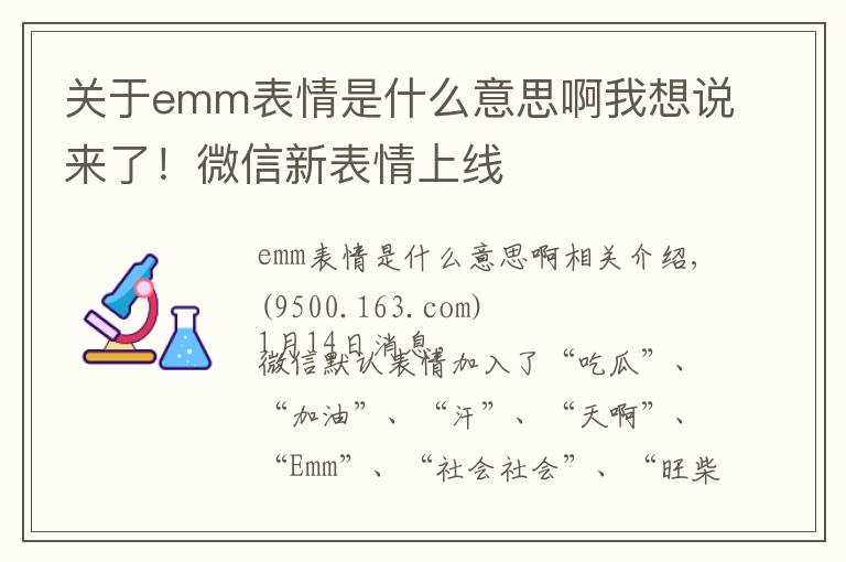 关于emm表情是什么意思啊我想说来了!微信新表情上线