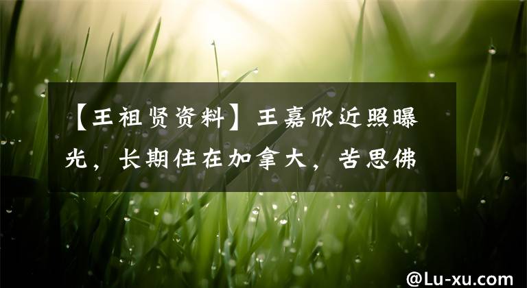 【王祖贤资料】王嘉欣近照曝光,长期住在加拿大,苦思佛祖,需要申请医疗保修卡。