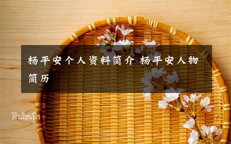 杨平安个人资料简介 杨平安人物简历