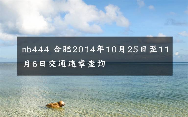 nb444 合肥2014年10月25日至11月6日交通违章查询