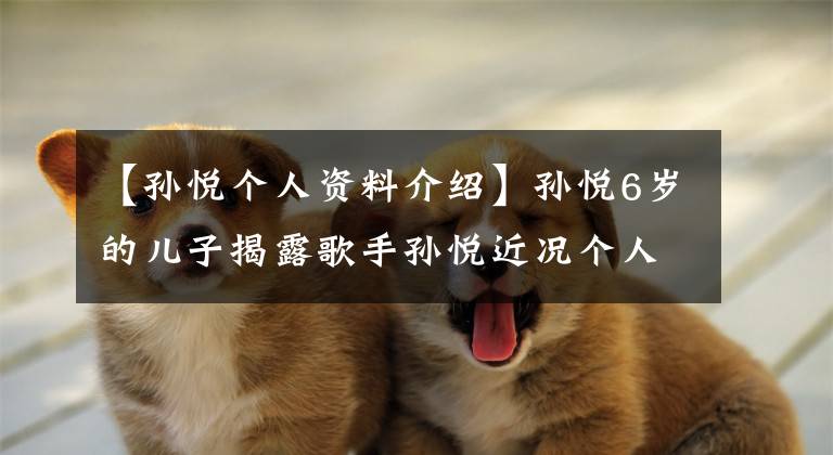 【孙悦个人资料介绍】孙悦6岁的儿子揭露歌手孙悦近况个人信息丈夫吴飞珠