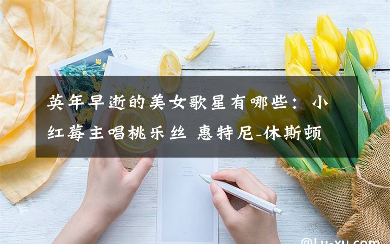 英年早逝的美女歌星有哪些:小红莓主唱桃乐丝 惠特尼-休斯顿