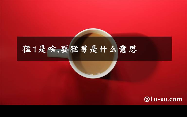 猛1是啥,耍猛男是什么意思