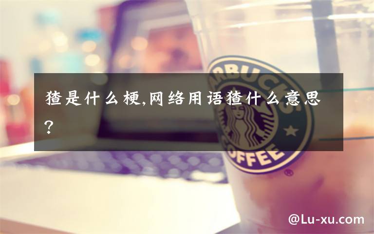 猹是什么梗,网络用语猹什么意思?