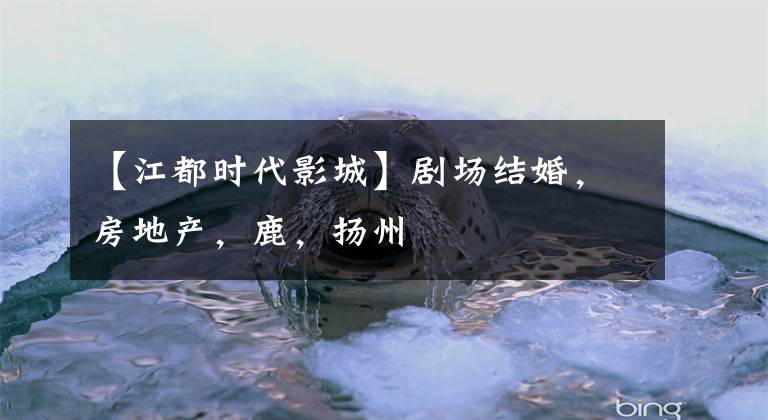 【江都时代影城】剧场结婚，房地产，鹿，扬州