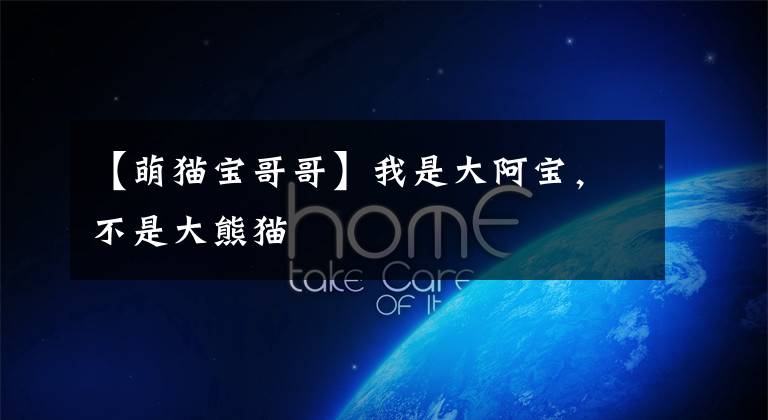 【萌猫宝哥哥】我是大阿宝，不是大熊猫