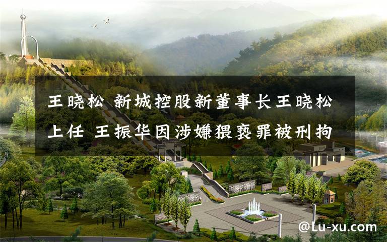 王晓松 新城控股新董事长王晓松上任 王振华因涉嫌猥亵罪被刑拘