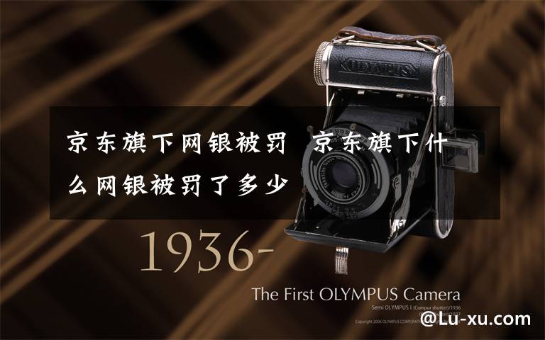 京东旗下网银被罚  京东旗下什么网银被罚了多少