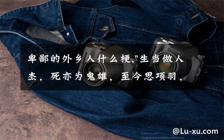 卑鄙的外乡人什么梗,