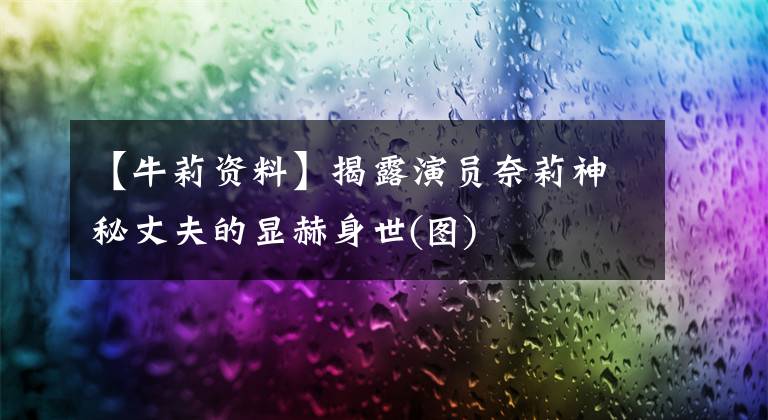 【牛莉资料】揭露演员奈莉神秘丈夫的显赫身世(图)