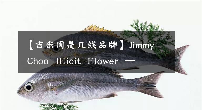 【吉米周是几线品牌】Jimmy  Choo  Illicit  Flower  —— Jimmy周华川耀女士淡香水