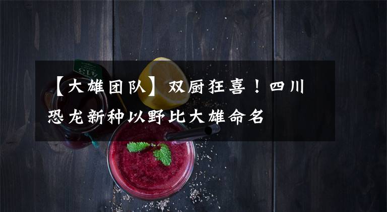 【大雄团队】双厨狂喜！四川恐龙新种以野比大雄命名