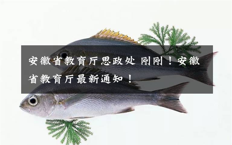 安徽省教育厅思政处 刚刚!安徽省教育厅最新通知!