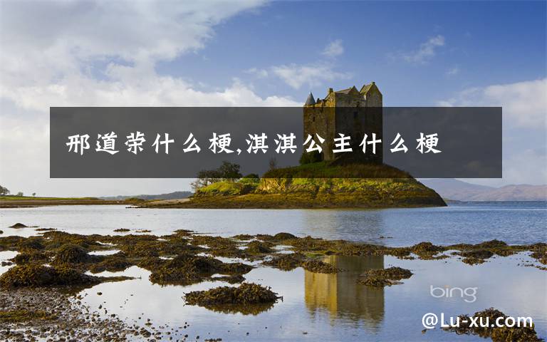 邢道荣什么梗,淇淇公主什么梗