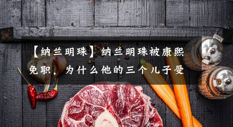 【纳兰明珠】纳兰明珠被康熙免职,为什么他的三个儿子受到了黄恩的深深恩惠?