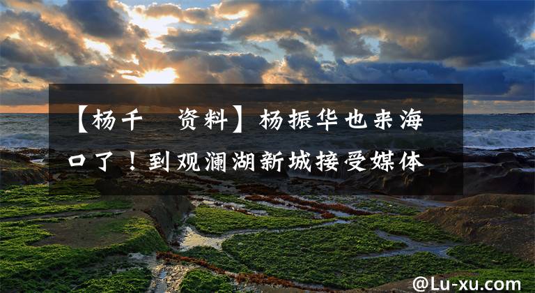 【杨千嬅资料】杨振华也来海口了!到观澜湖新城接受媒体群访问