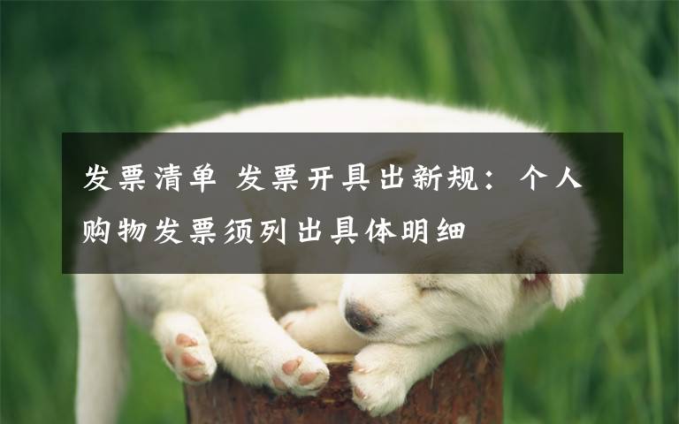 发票清单 发票开具出新规:个人购物发票须列出具体明细