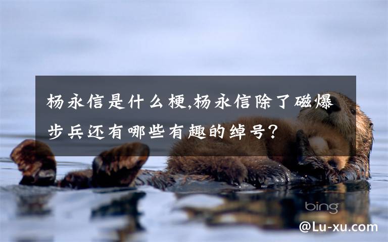 杨永信是什么梗,杨永信除了磁爆步兵还有哪些有趣的绰号？