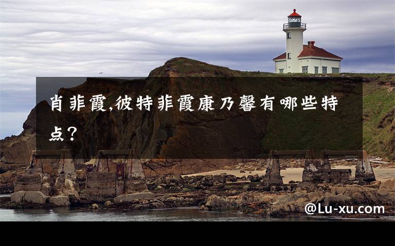 肖菲霞,彼特菲霞康乃馨有哪些特点？