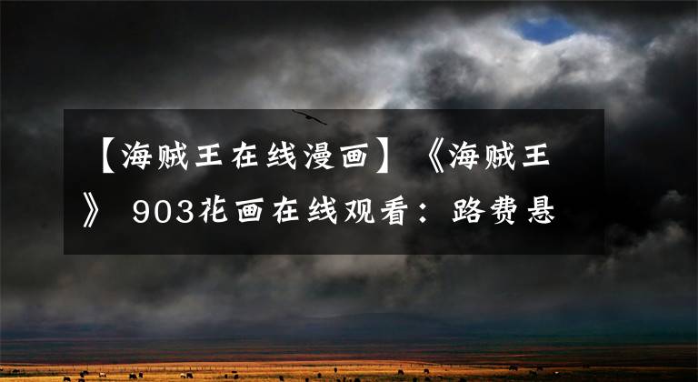 【海贼王在线漫画】《海贼王》 903花画在线观看:路费悬赏高达15亿韩元