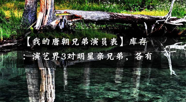 【我的唐朝兄弟演员表】库存:演艺界3对明星亲兄弟,各有名气,但人生大不相同