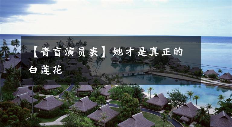 【青盲演员表】她才是真正的白莲花
