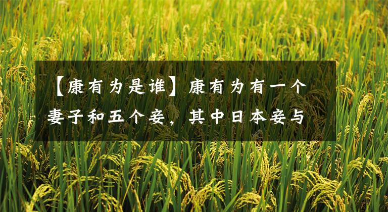 【康有为是谁】康有为有一个妻子和五个妾，其中日本妾与他的长子生了一个女儿。