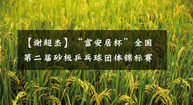 【谢超杰】“富安居杯”全国第二届砂板乒乓球团体锦标赛在南宁落幕