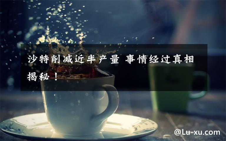 沙特削减近半产量 事情经过真相揭秘!