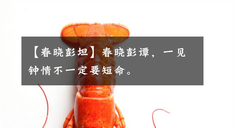 【春晓彭坦】春晓彭谭，一见钟情不一定要短命。