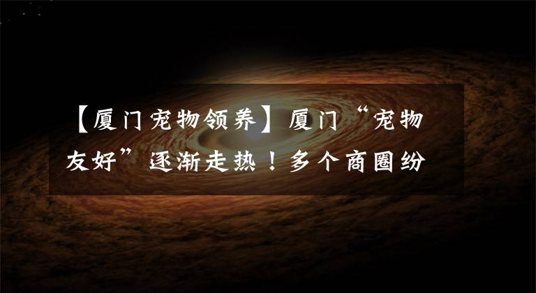 【厦门宠物领养】厦门“宠物友好”逐渐走热!多个商圈纷纷打造宠物“社交”空间