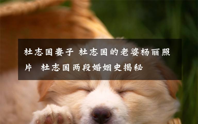 杜志国妻子 杜志国的老婆杨丽照片 杜志国两段婚姻史揭秘