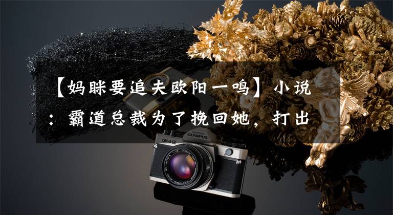 【妈眯要追夫欧阳一鸣】小说：霸道总裁为了挽回她，打出了萌宝这张感情牌，果然非常有用