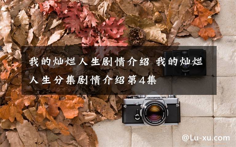 我的灿烂人生剧情介绍 我的灿烂人生分集剧情介绍第4集