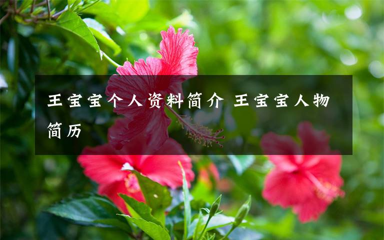 王宝宝个人资料简介 王宝宝人物简历