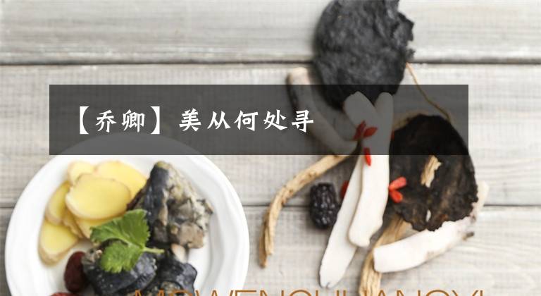 【乔卿】美从何处寻