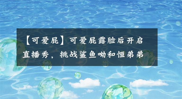 【可爱屁】可爱屁露脸后开启直播秀，挑战鲨鱼呦和恒弟弟，赌注居然是改ID？