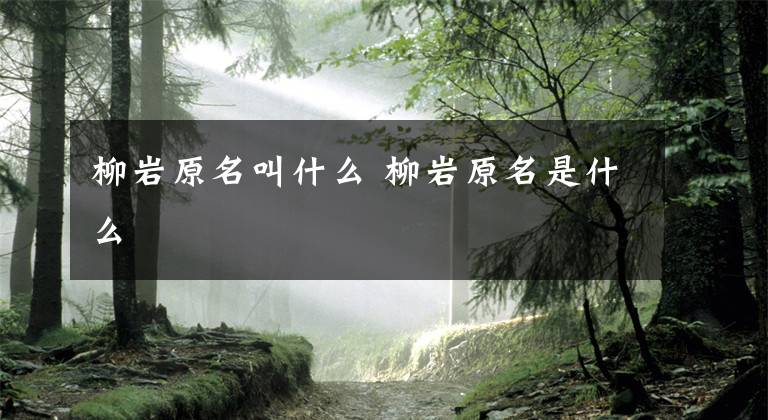 柳岩原名叫什么 柳岩原名是什么