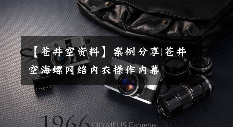 【苍井空资料】案例分享|苍井空海螺网络内衣操作内幕
