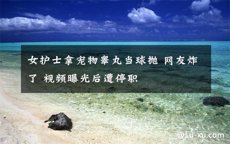 女护士拿宠物睾丸当球抛 网友炸了 视频曝光后遭停职