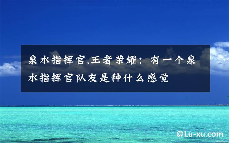 泉水指挥官,王者荣耀：有一个泉水指挥官队友是种什么感觉