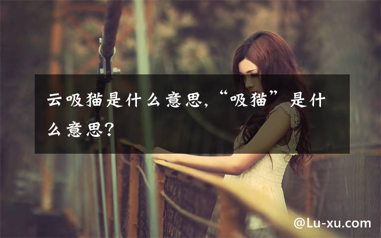 云吸猫是什么意思,“吸猫”是什么意思?