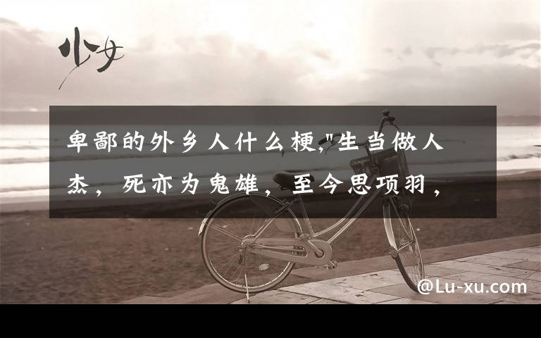 卑鄙的外乡人什么梗,