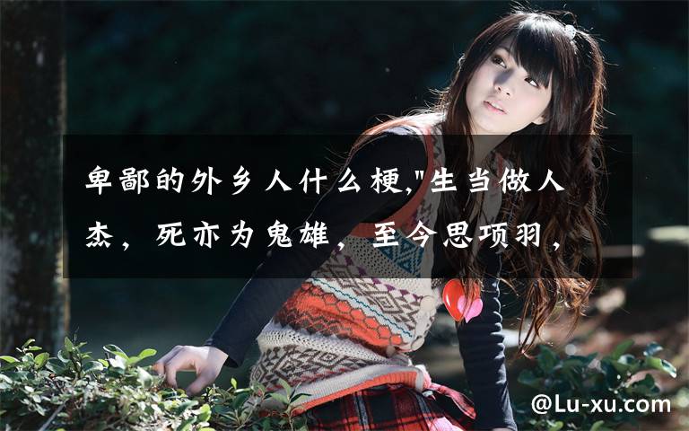 卑鄙的外乡人什么梗,