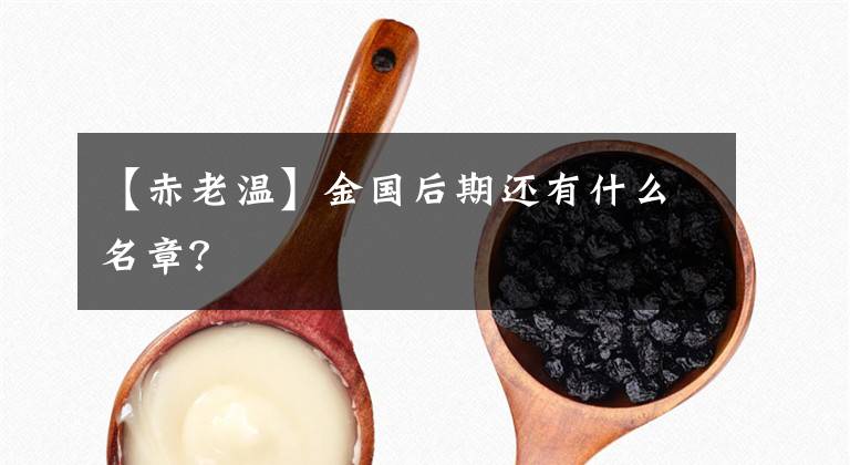 【赤老温】金国后期还有什么名章?