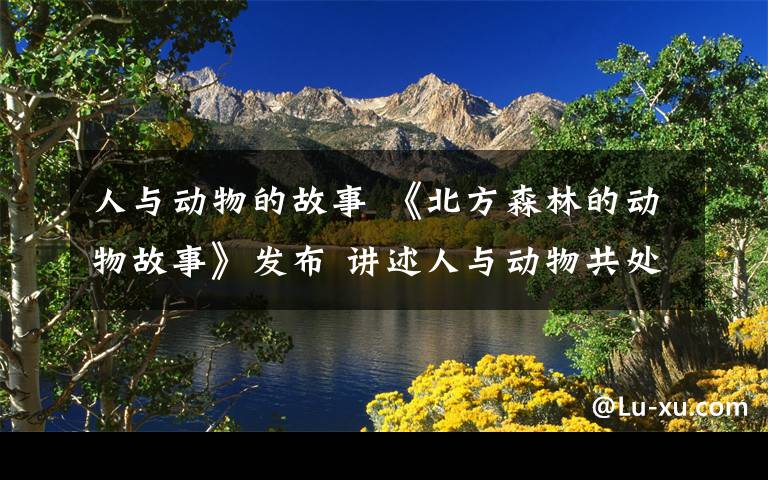 人与动物的故事 《北方森林的动物故事》发布 讲述人与动物共处故事