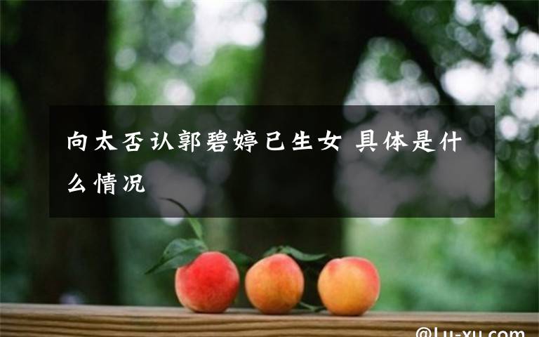 向太否认郭碧婷已生女 具体是什么情况